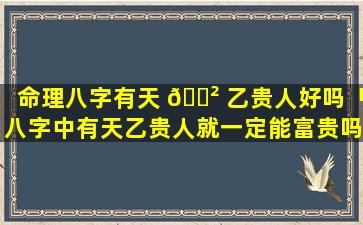 命理八字有天 🌲 乙贵人好吗「八字中有天乙贵人就一定能富贵吗」